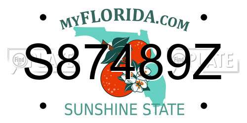 S87489Z Florida License Plate