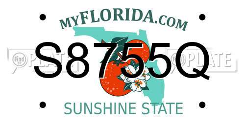 S8755Q Florida License Plate