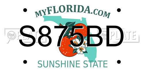 S875BD Florida License Plate