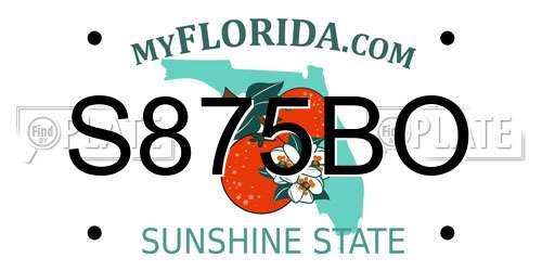S875BO Florida License Plate
