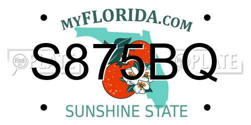 S875BQ Florida License Plate
