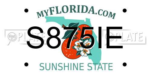 S875IE Florida License Plate