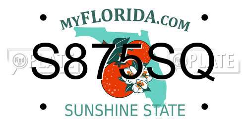 S875SQ Florida License Plate