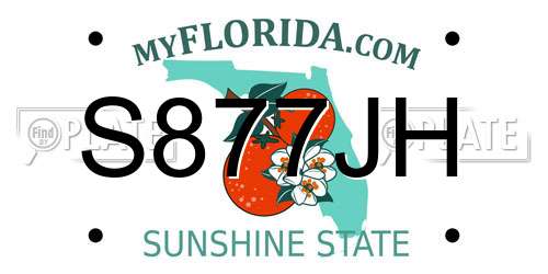 S877JH Florida License Plate