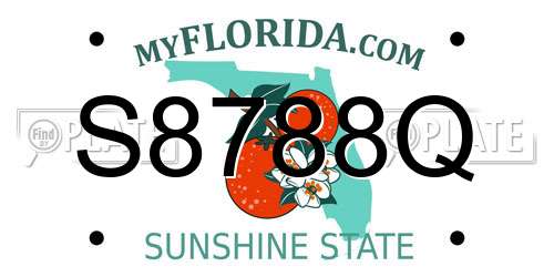 S8788Q Florida License Plate