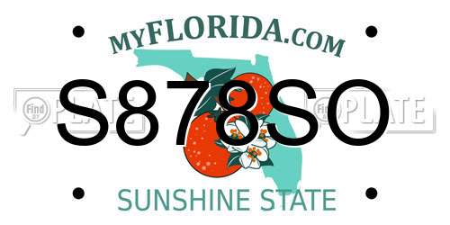 S878SO Florida License Plate