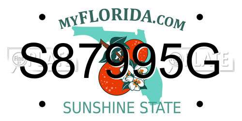 S87995G Florida License Plate