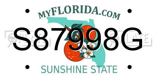 S87998G Florida License Plate