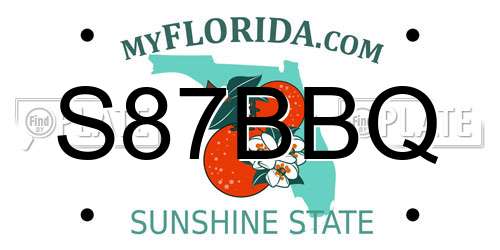 S87BBQ Florida License Plate