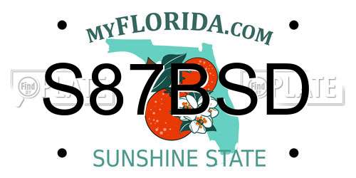 S87BSD Florida License Plate