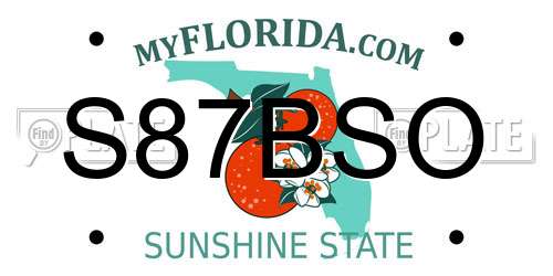 S87BSO Florida License Plate