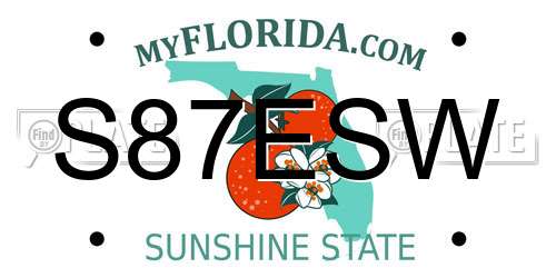 S87ESW Florida License Plate