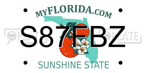 S87FBZ Florida License Plate