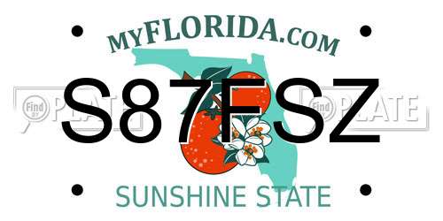S87FSZ Florida License Plate