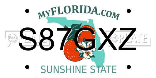 S87GXZ Florida License Plate