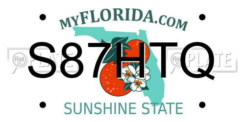 S87HTQ Florida License Plate