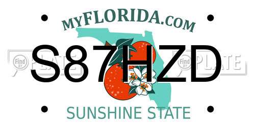 S87HZD Florida License Plate