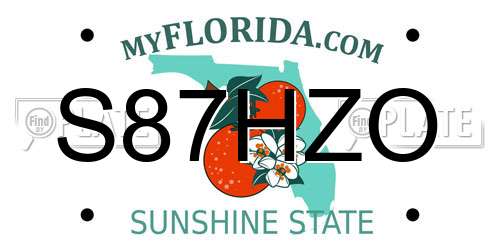 S87HZO Florida License Plate