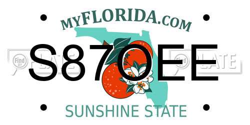 S87OEE Florida License Plate