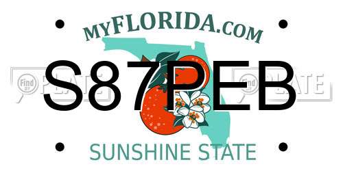 S87PEB Florida License Plate