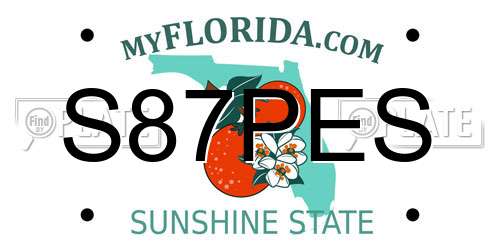 S87PES Florida License Plate