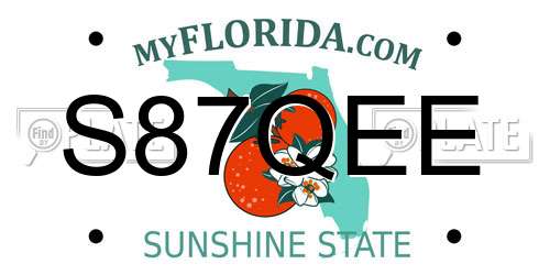 S87QEE Florida License Plate