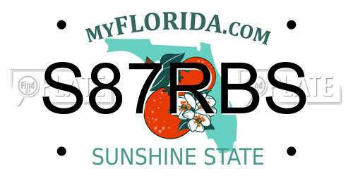 S87RBS Florida License Plate
