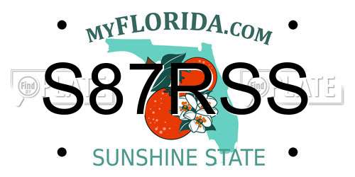 S87RSS Florida License Plate