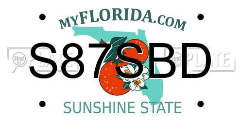 S87SBD Florida License Plate