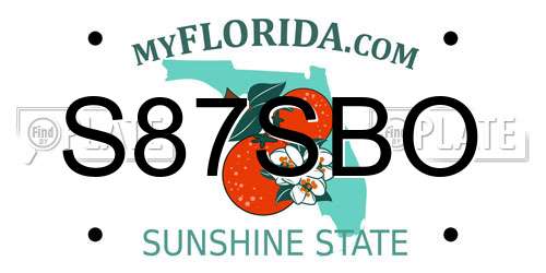 S87SBO Florida License Plate