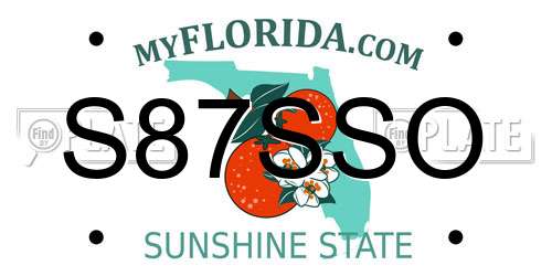 S87SSO Florida License Plate