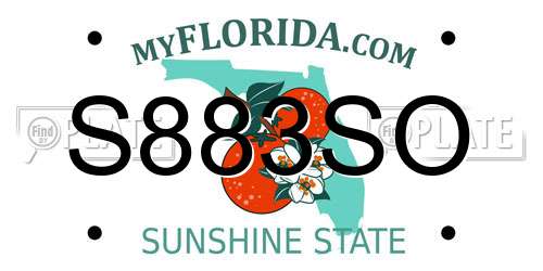 S883SO Florida License Plate