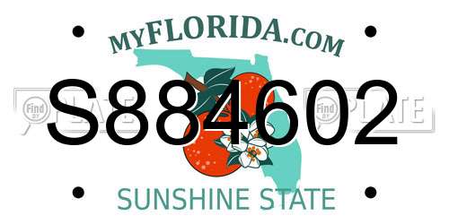 S884602 Florida License Plate