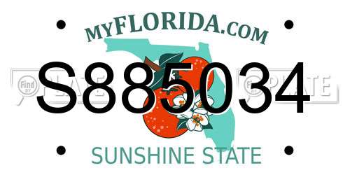 S885034 Florida License Plate
