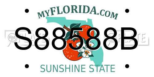 S88588B Florida License Plate