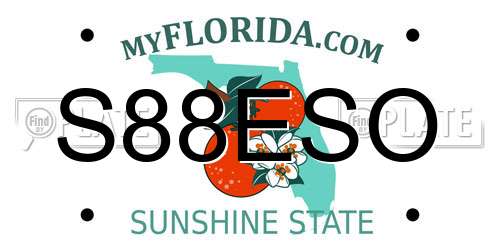 S88ESO Florida License Plate
