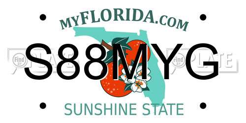 S88MYG Florida License Plate