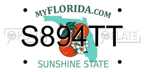 S894TT Florida License Plate