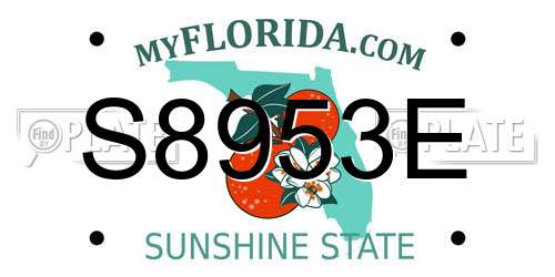 S8953E Florida License Plate