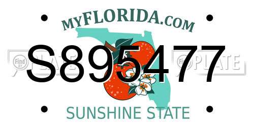 S895477 Florida License Plate