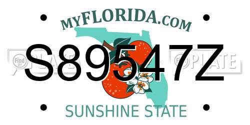 S89547Z Florida License Plate