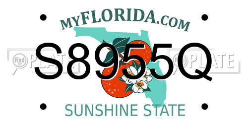 S8955Q Florida License Plate