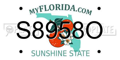 S8958O Florida License Plate