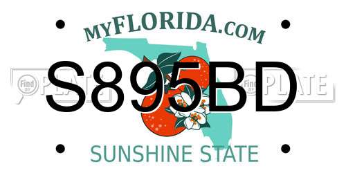 S895BD Florida License Plate