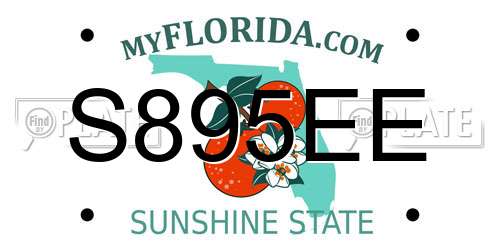 S895EE Florida License Plate