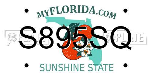 S895SQ Florida License Plate