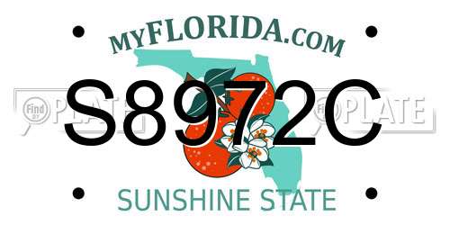 S8972C Florida License Plate