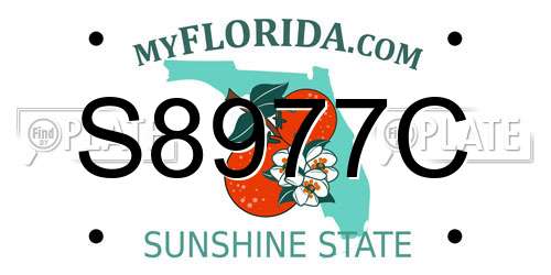 S8977C Florida License Plate