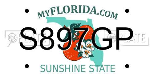 S897GP Florida License Plate