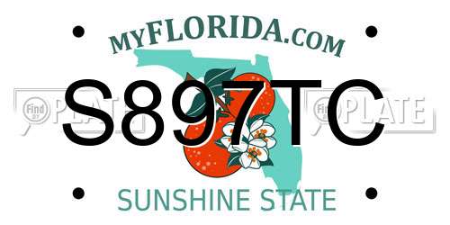S897TC Florida License Plate